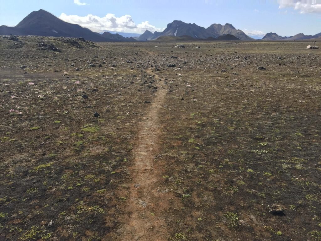 laugavegur multi day trek iceland trail